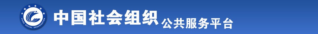 日b色偷偷全国社会组织信息查询